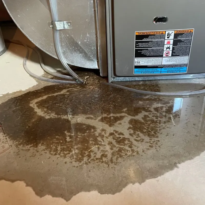 Pipe Burst and Leak Restoration in Vinalhaven, ME