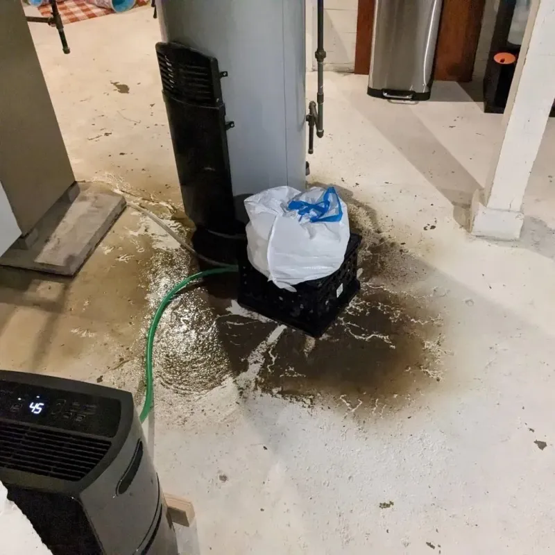 Sewage Backup Cleanup Service in Vinalhaven, ME